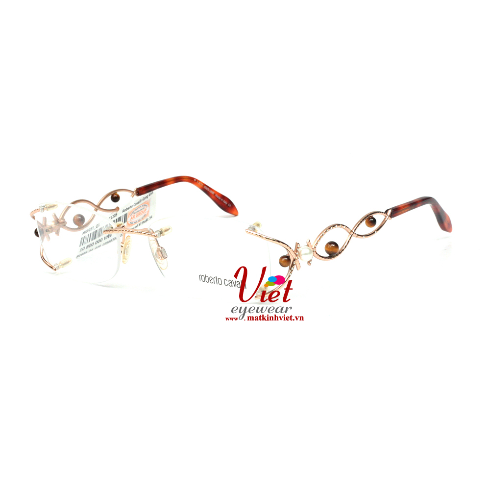 Gọng kính Roberto Cavalli RC695 028